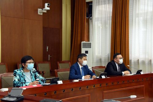 Т.Бадрал, Н.Эрдэнэтуяа нарыг Элчин сайдаар томилохыг дэмжлээ